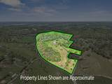 954 Molino Rd - Photo 64
