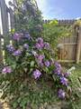 206 Dreaden St - Photo 25