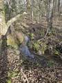 7 Fletcher Pickett Rd - Photo 8