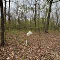 3162 Northcutts Cove Rd - Photo 34