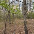 3162 Northcutts Cove Rd - Photo 35