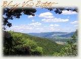 100 Bluff View Drive - Photo 11