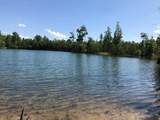 100 Bluff View Drive - Photo 13