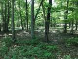 100 Bluff View Drive - Photo 5