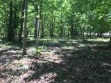 100 Bluff View Drive - Photo 8