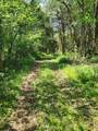 0 Murray Kittrell Rd - Photo 6