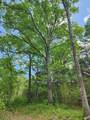 0 Murray Kittrell Rd - Photo 9