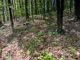 0 Sawyer Cemetery Rd - Photo 34