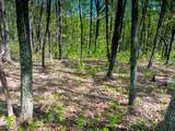 0 Sawyer Cemetery Rd - Photo 41