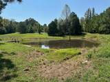 540 Rolling Oak Dr - Photo 43