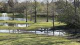 721 Springlake Dr - Photo 9