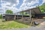 13546 Campbellsville Rd - Photo 81