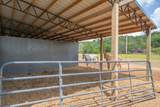 13546 Campbellsville Rd - Photo 83