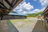 13546 Campbellsville Rd - Photo 87