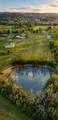 1041 Sandy Valley Rd - Photo 2