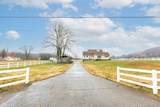 1041 Sandy Valley Rd - Photo 3