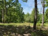 0 Pitts Gap Mtn Road - Photo 20