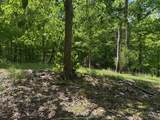 0 Pitts Gap Mtn Road - Photo 21