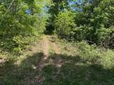 0 Pitts Gap Mtn Road - Photo 22