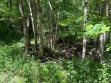 0 Pitts Gap Mtn Road - Photo 24