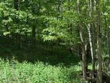 0 Pitts Gap Mtn Road - Photo 25
