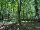 0 Pitts Gap Mtn Road - Photo 27