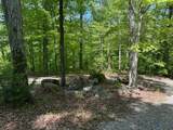 0 Pitts Gap Mtn Road - Photo 29