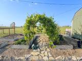 1828 Old Highway 52 - Photo 41