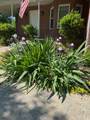 1545 Nathan Ct - Photo 8