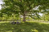 8137 Shoals Branch Rd - Photo 48
