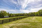 8137 Shoals Branch Rd - Photo 78