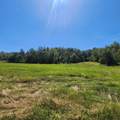 229 Bob Walker Rd - Photo 1