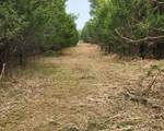 4230 Peytonsville Trinity Rd - Photo 4