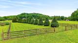 426 Watt Nolen Rd - Photo 50