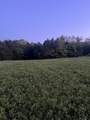 0 Rock Hill Rd - Photo 12
