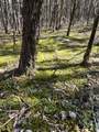 0 Rock Hill Rd - Photo 8