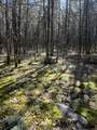 0 Rock Hill Rd - Photo 9