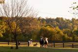 5297 Old Harding Rd - Photo 85