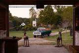 5297 Old Harding Rd - Photo 86