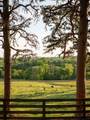 2311 Darks Mill Rd - Photo 92