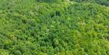 0 Westfork Creek Rd - Photo 14