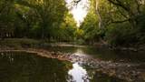 9944 Maupin Rd - Photo 3