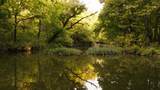 9944 Maupin Rd - Photo 69