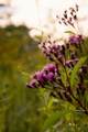 9944 Maupin Rd - Photo 82