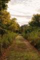 9944 Maupin Rd - Photo 83