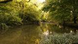 9944 Maupin Rd - Photo 84