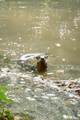 9944 Maupin Rd - Photo 87