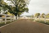459 Franklin Rd - Photo 29