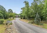 3227 Bluff View Drive - Photo 98