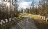 3227 Bluff View Drive - Photo 100